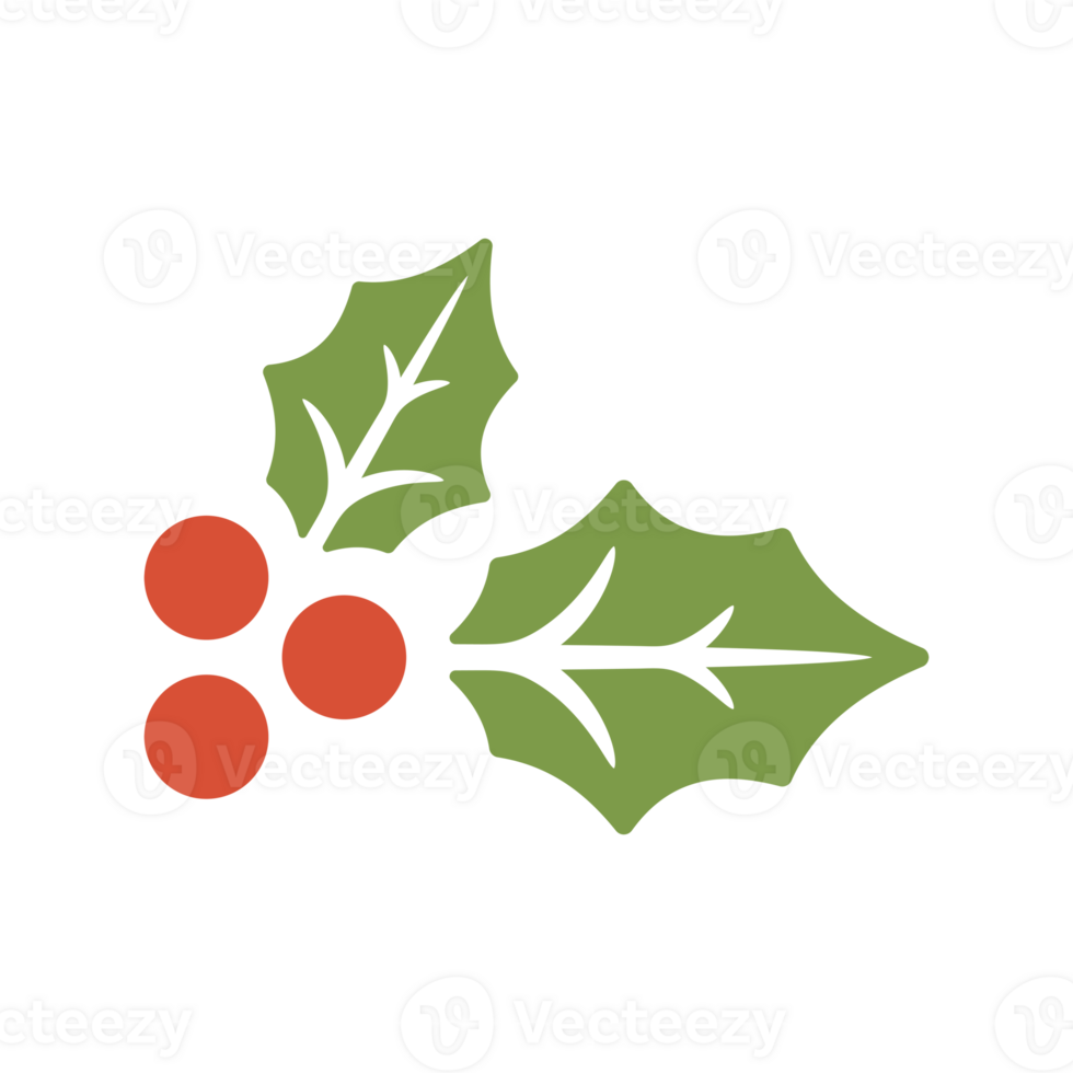 Mistletoe leaves with berries png