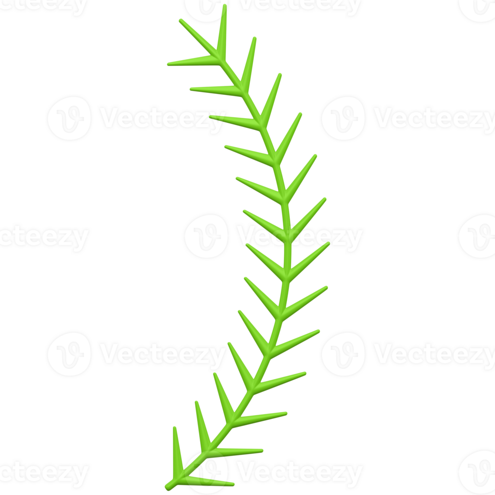 Double curved branch of green spruce. Realistic sprig with small needles winter decor png