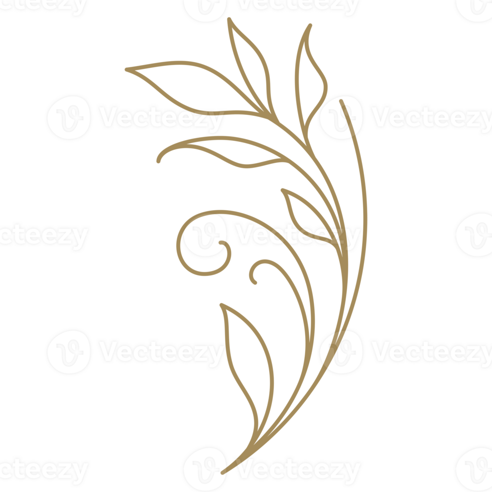 Romantic botanical branch with leaves and stem natural blossom spring lush line art icon png