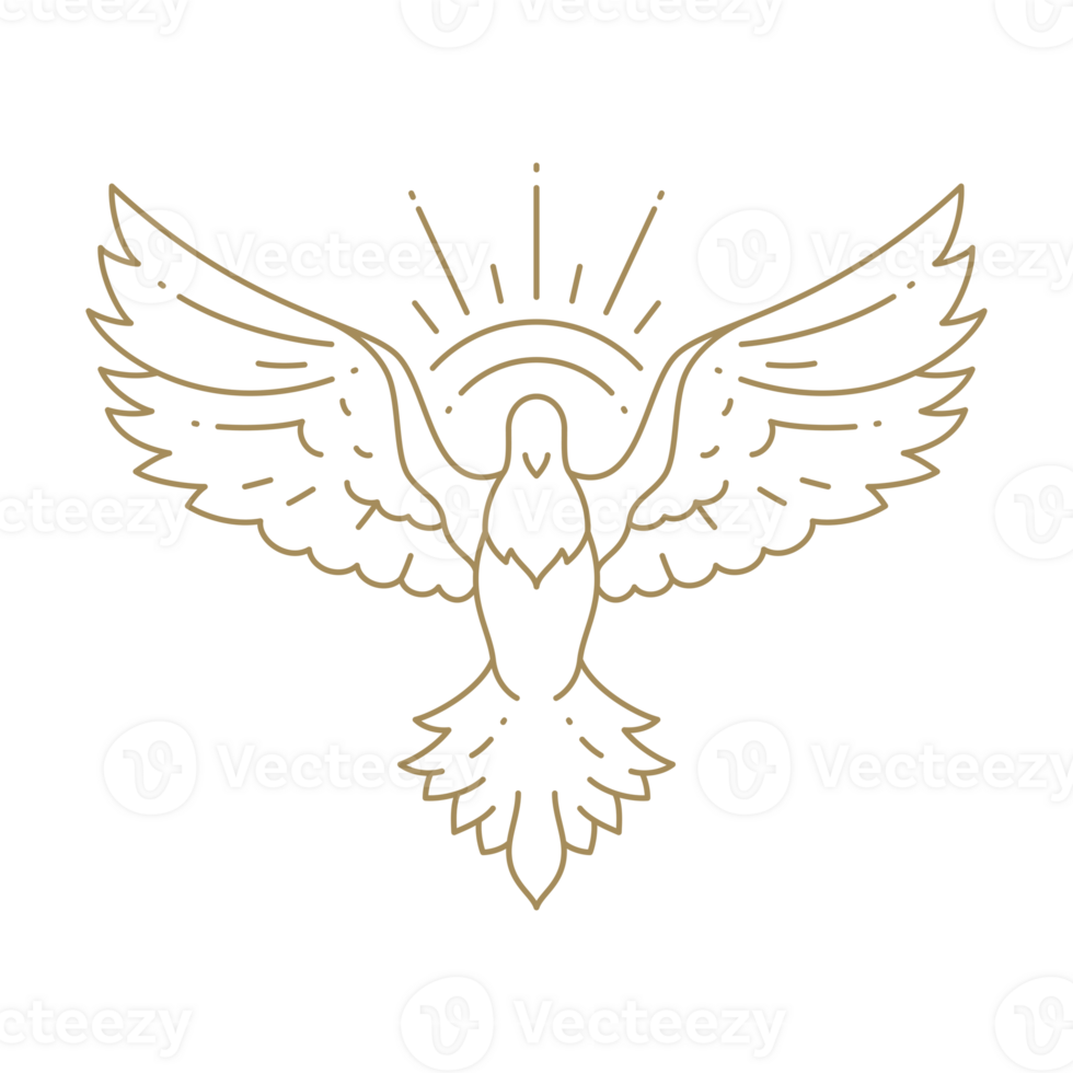 Minimalist flying pigeon with open wings natural sun light beams line art icon illustration png