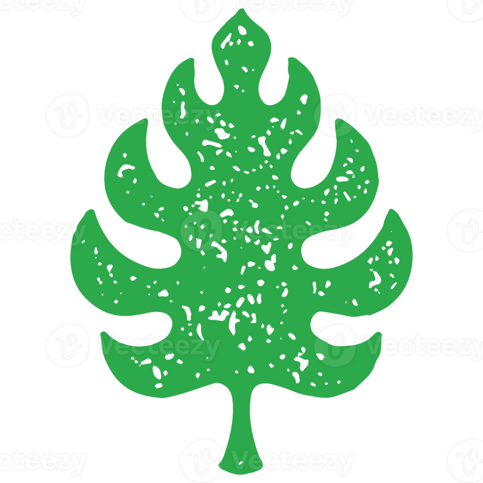 Hand drawn green tropical leaf grunge texture illustration palm tree leaves with stem png