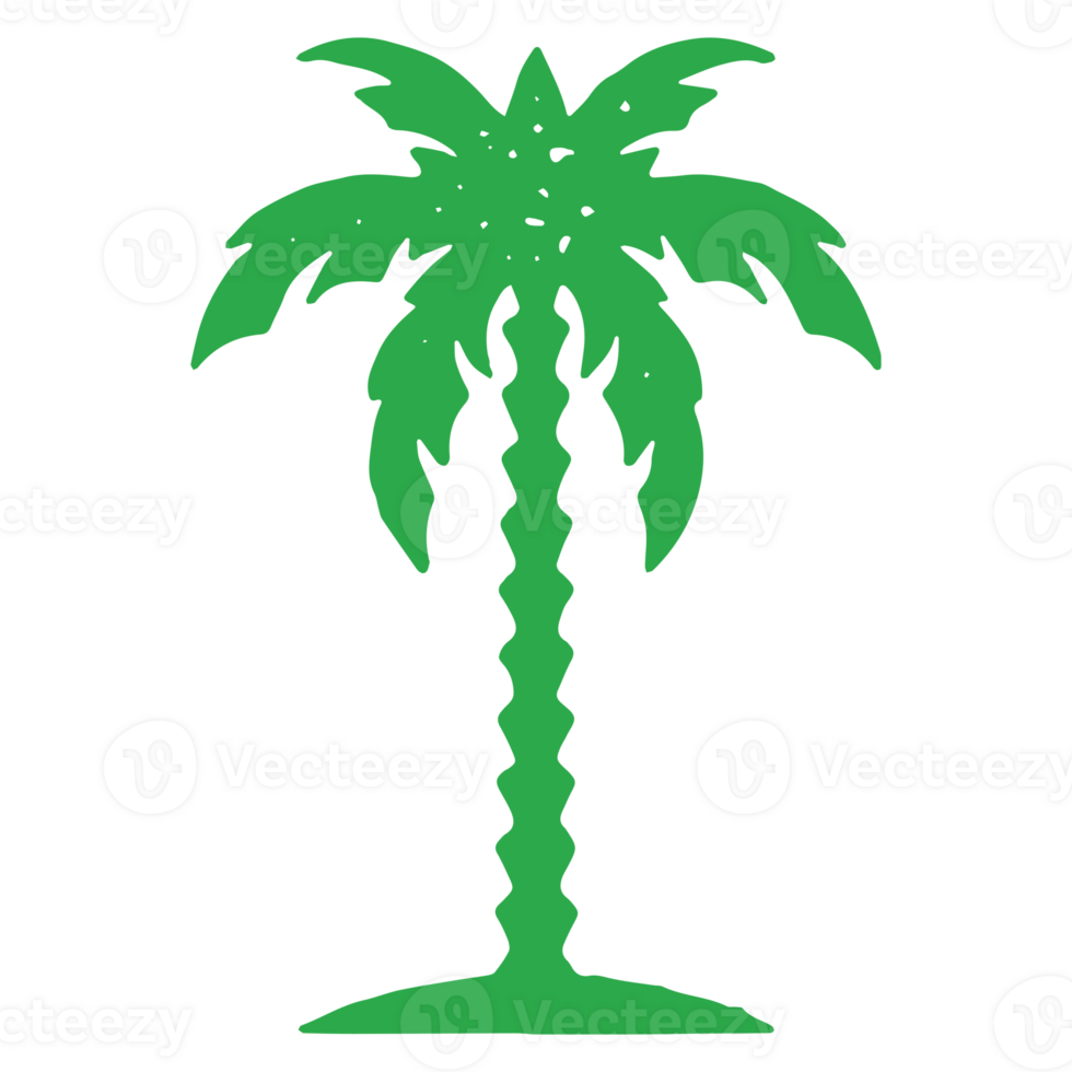 Hand drawn green palm tree with trunk and tropical leaves foliage summer travel vacation logo png