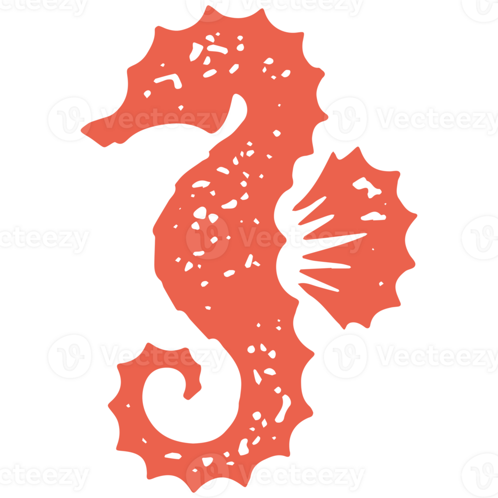 Cute minimalist seahorse with curved tail fin natural ocean habitat red hand drawn grunge texture png