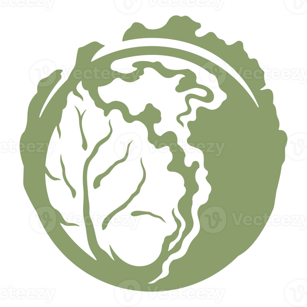 Big cabbage swing icon in green color hand drawn vintage illustration png