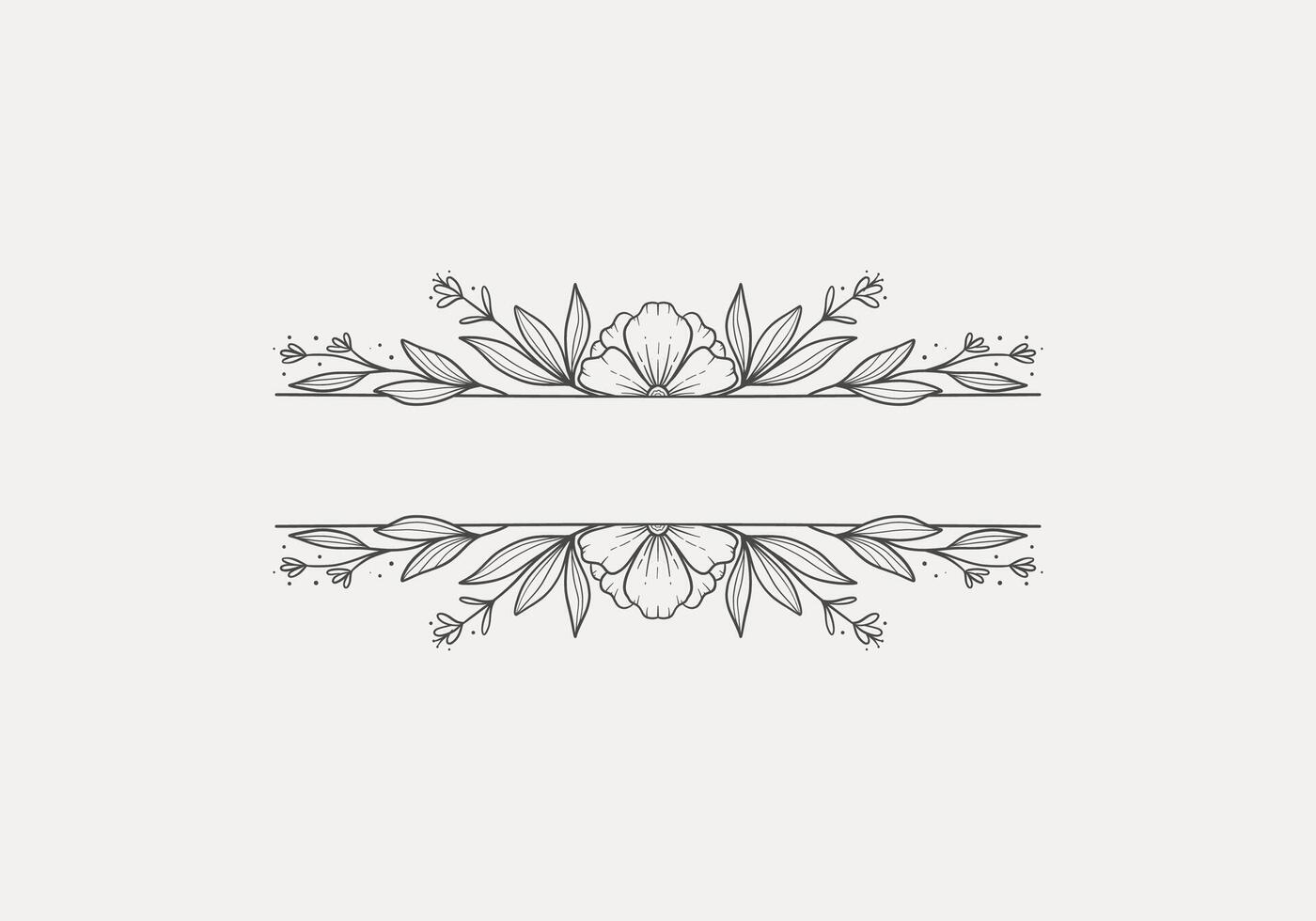 isolated vintage flower header line divider for text frame vector