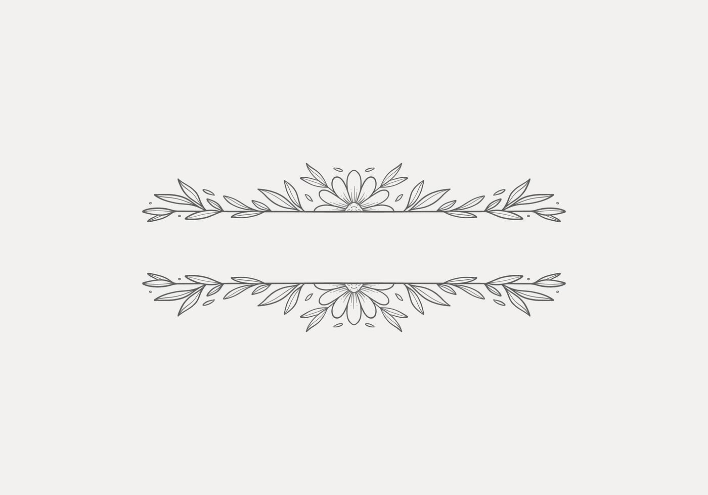 isolated flower line divider border for text frame vector