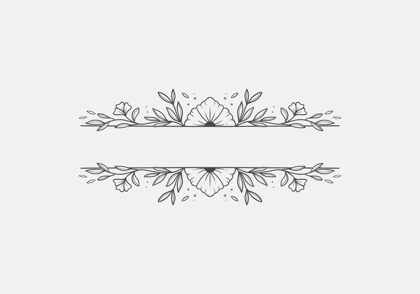 vintage flower header line divider for text frame vector