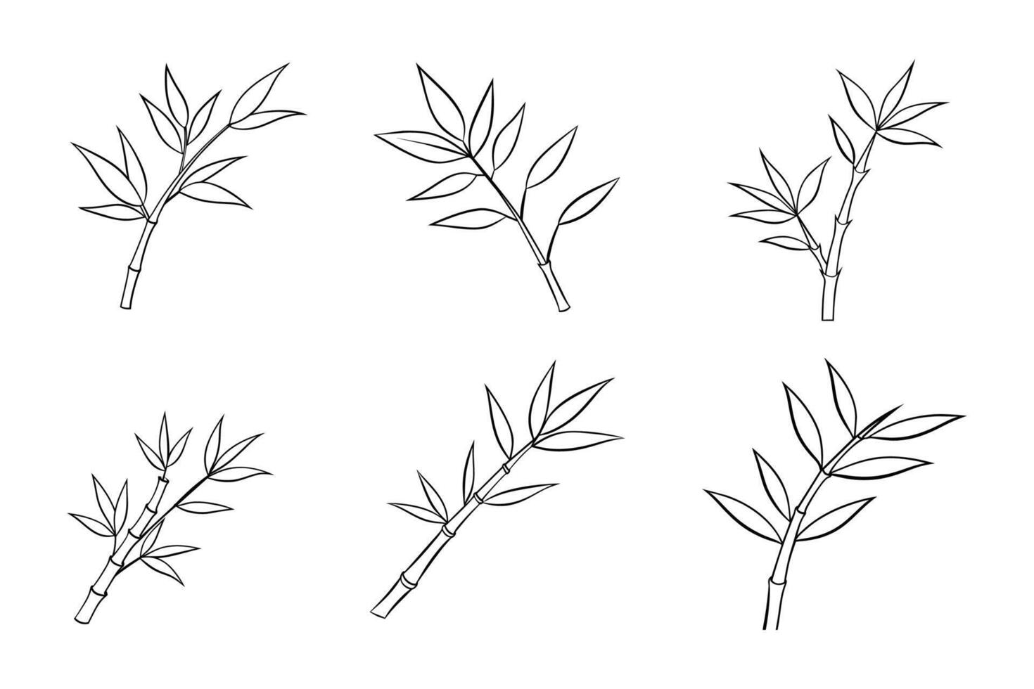 Set of Hand drawn Bamboo Branch with Leaves Illustration. vector