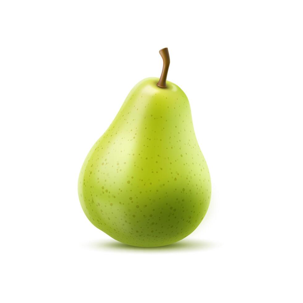 Raw realistic green pear fruit. Ripe whole 3d pear vector
