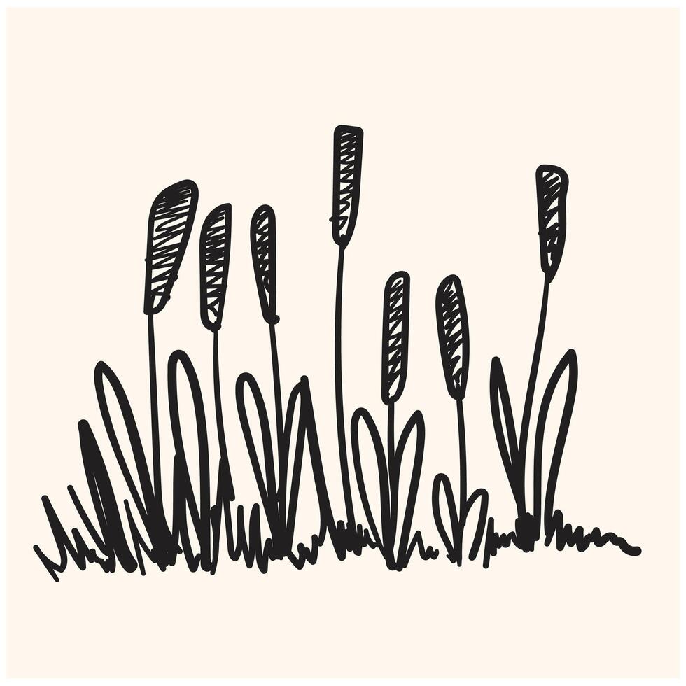 Vegetation, nature, element of summer landscape With illustration style doodle and line art vector