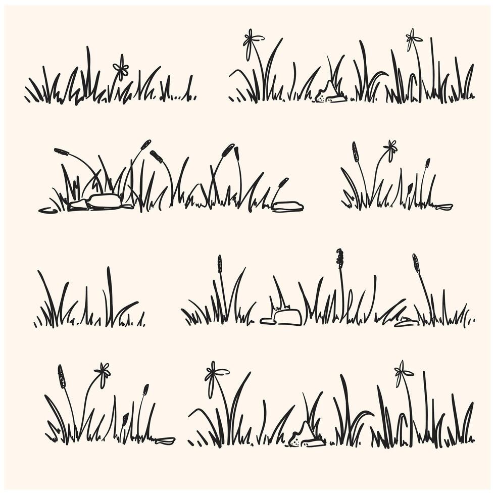 Vegetation, nature, element of summer landscape With illustration style doodle and line art vector