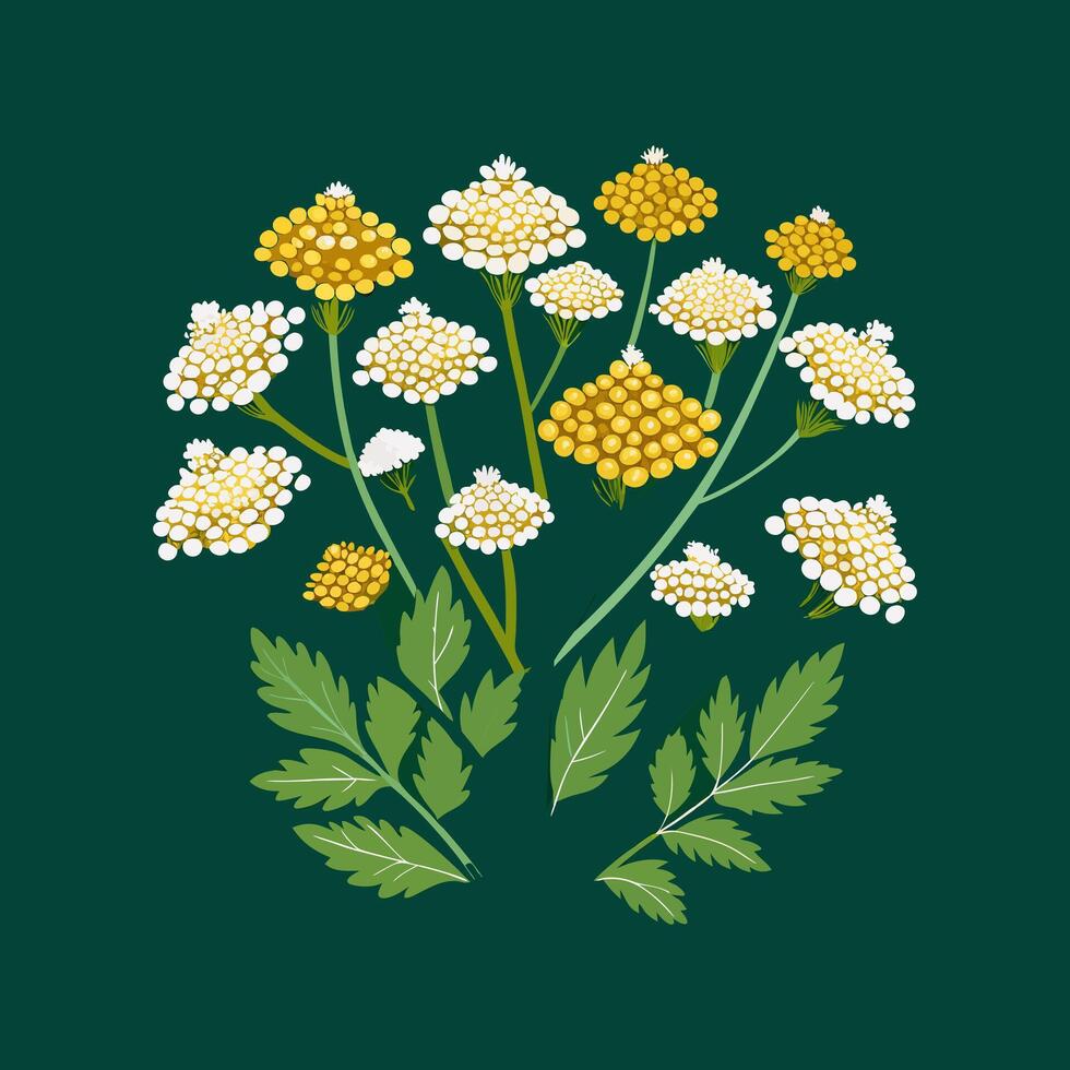 Outline flower set for artistic designs. vector