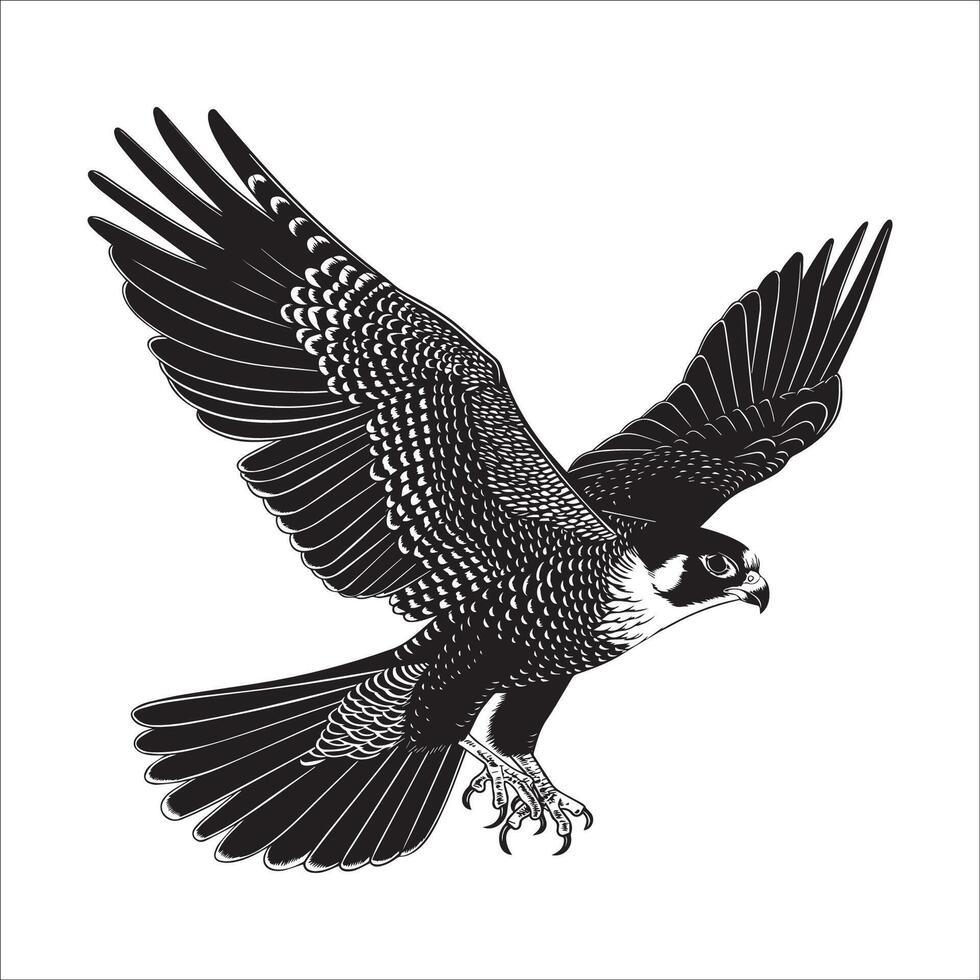 Peregrine falcon silhouette - Bird Logo - Peregrine falcon perched with wings fully illustrated in black and white vector
