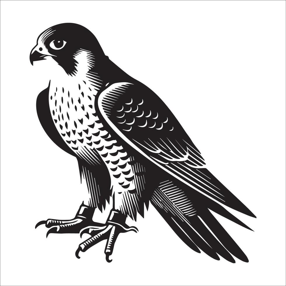Peregrine falcon silhouette - Bird Logo - A Peregrine falcon sitting illustration in black and white vector