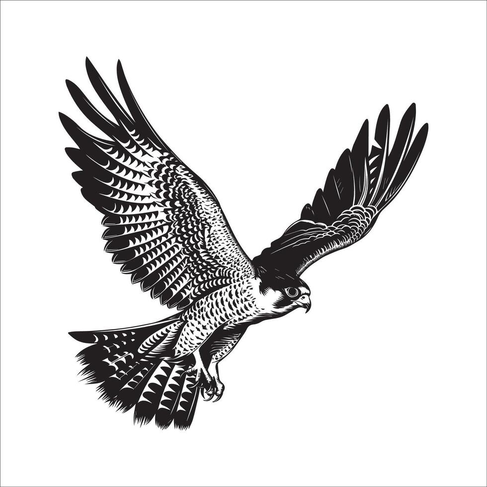 Peregrine falcon silhouette - Bird Logo - Peregrine falcon perched illustration in black and white vector