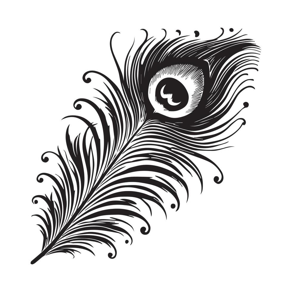 Feather Pen Logo - Feather silhouette - peacock quill illustration in black and white vector