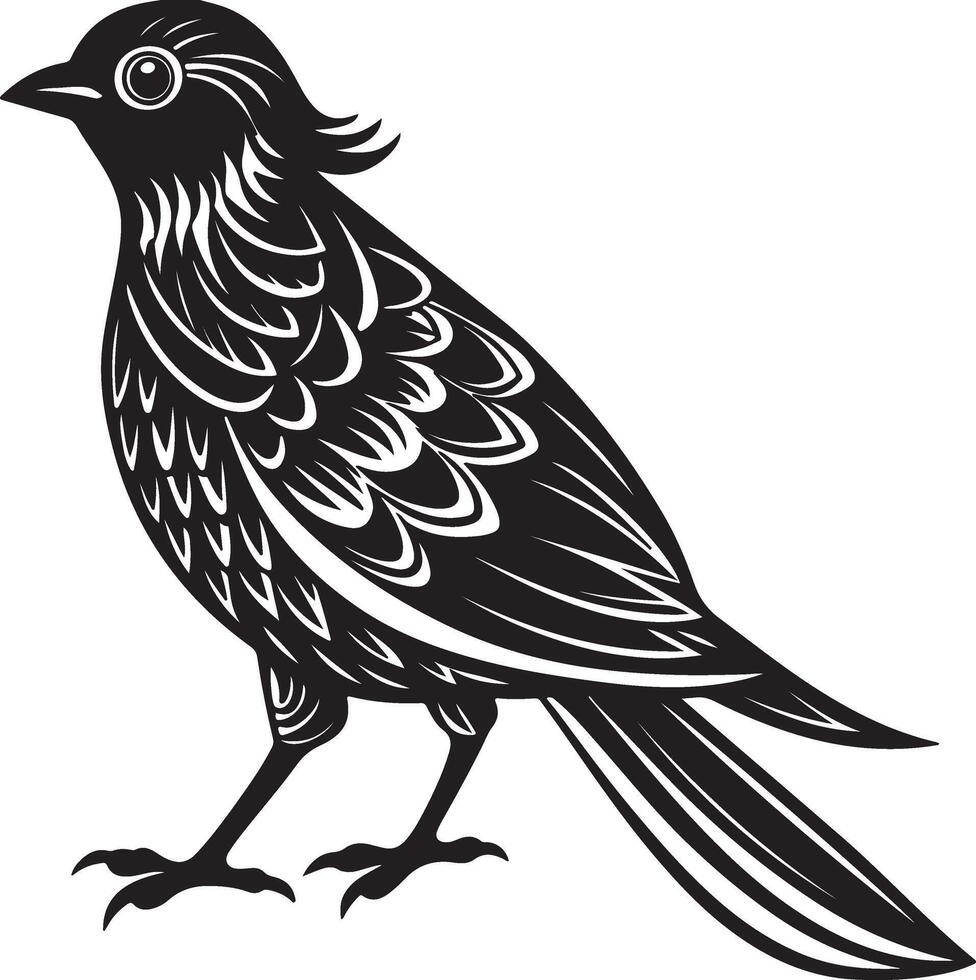 Beautiful bird silhouette image on white background vector