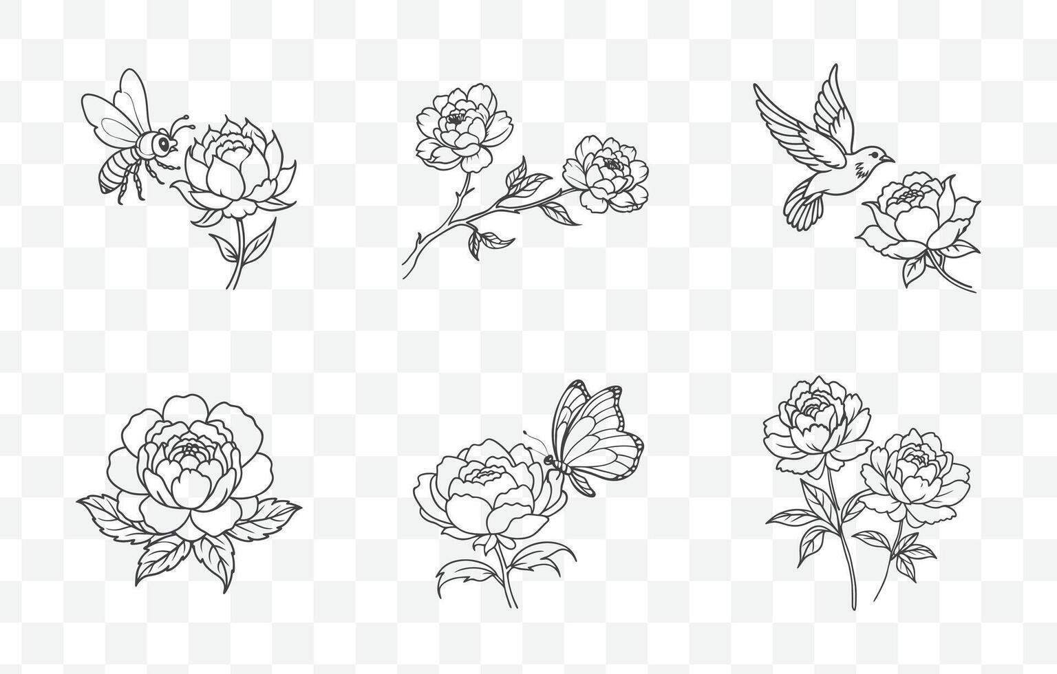 Peony Line Art Set Elegant Floral Illustrations for Design and Decoration Projects vector
