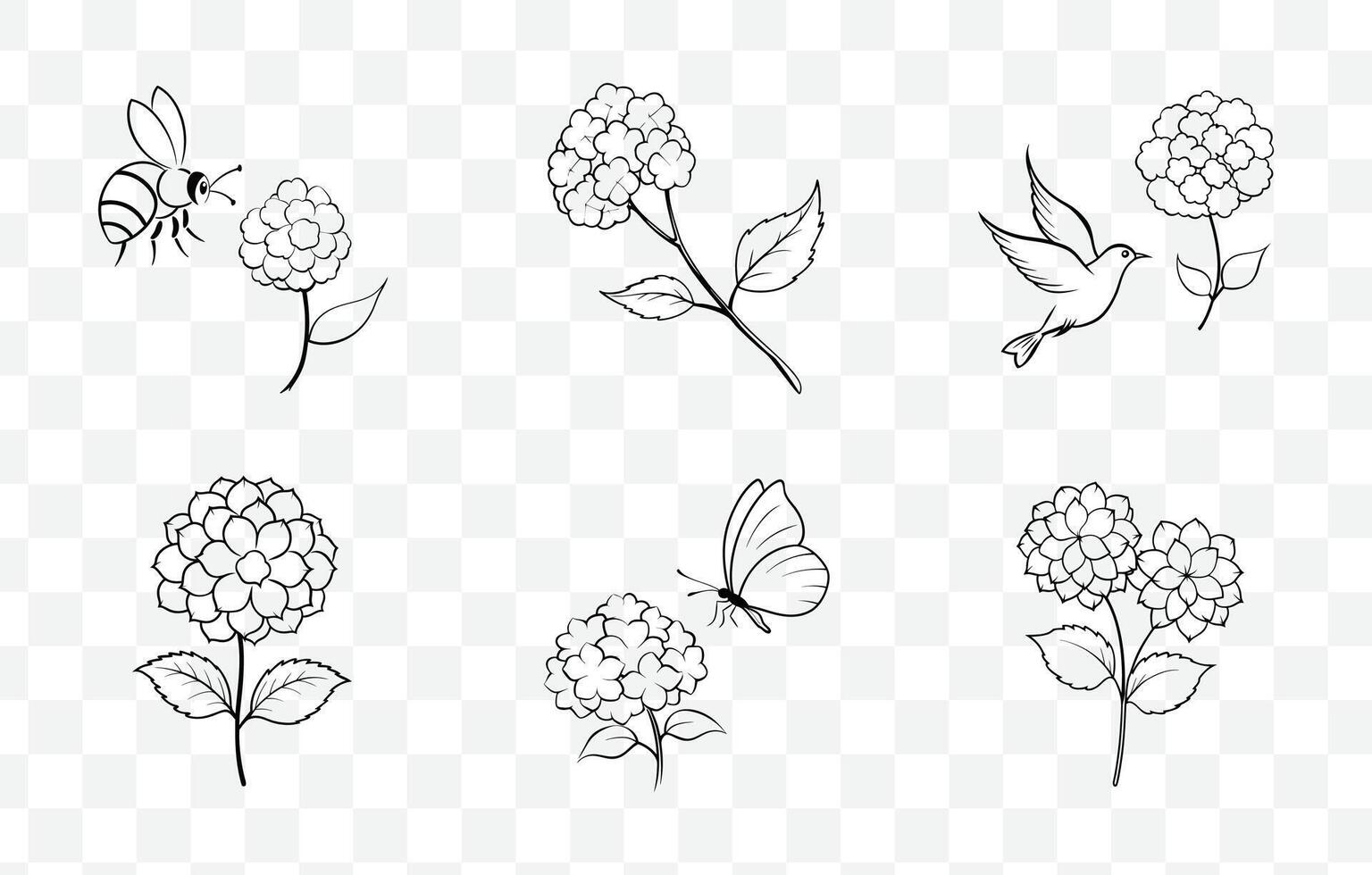 Print Beautiful Hydrangea Line Art Set for Artistic and Decorative Designs vector