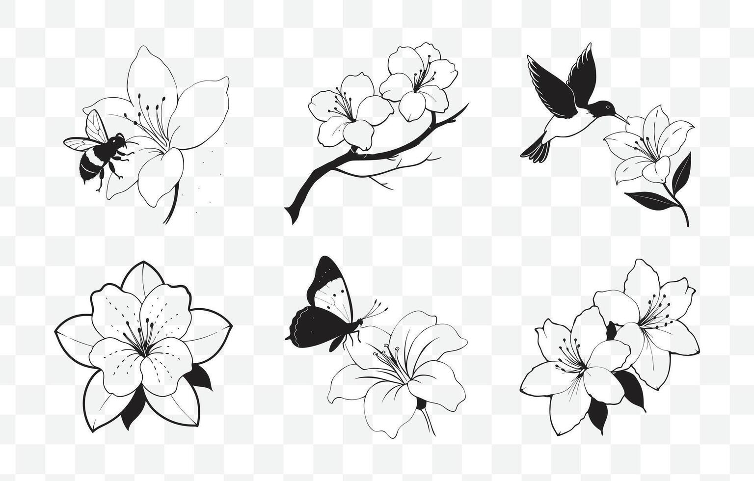 Print Comprehensive Azalea Line Art Set for Detailed and Elegant Floral Designs vector
