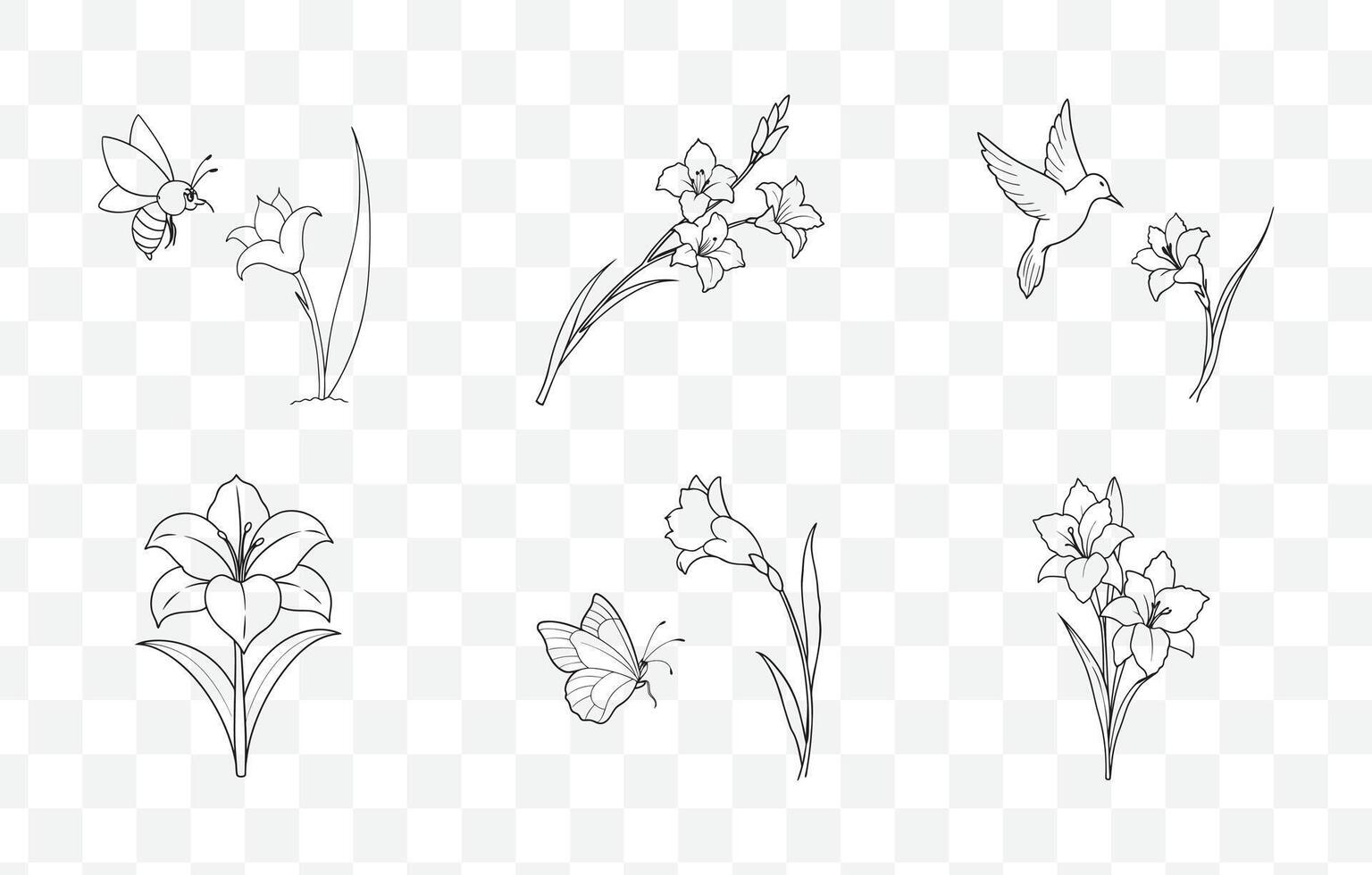 Print Gladiolus Line Art Set Elegant Floral Illustrations for Design and Decoration Perfect for Art Projects vector