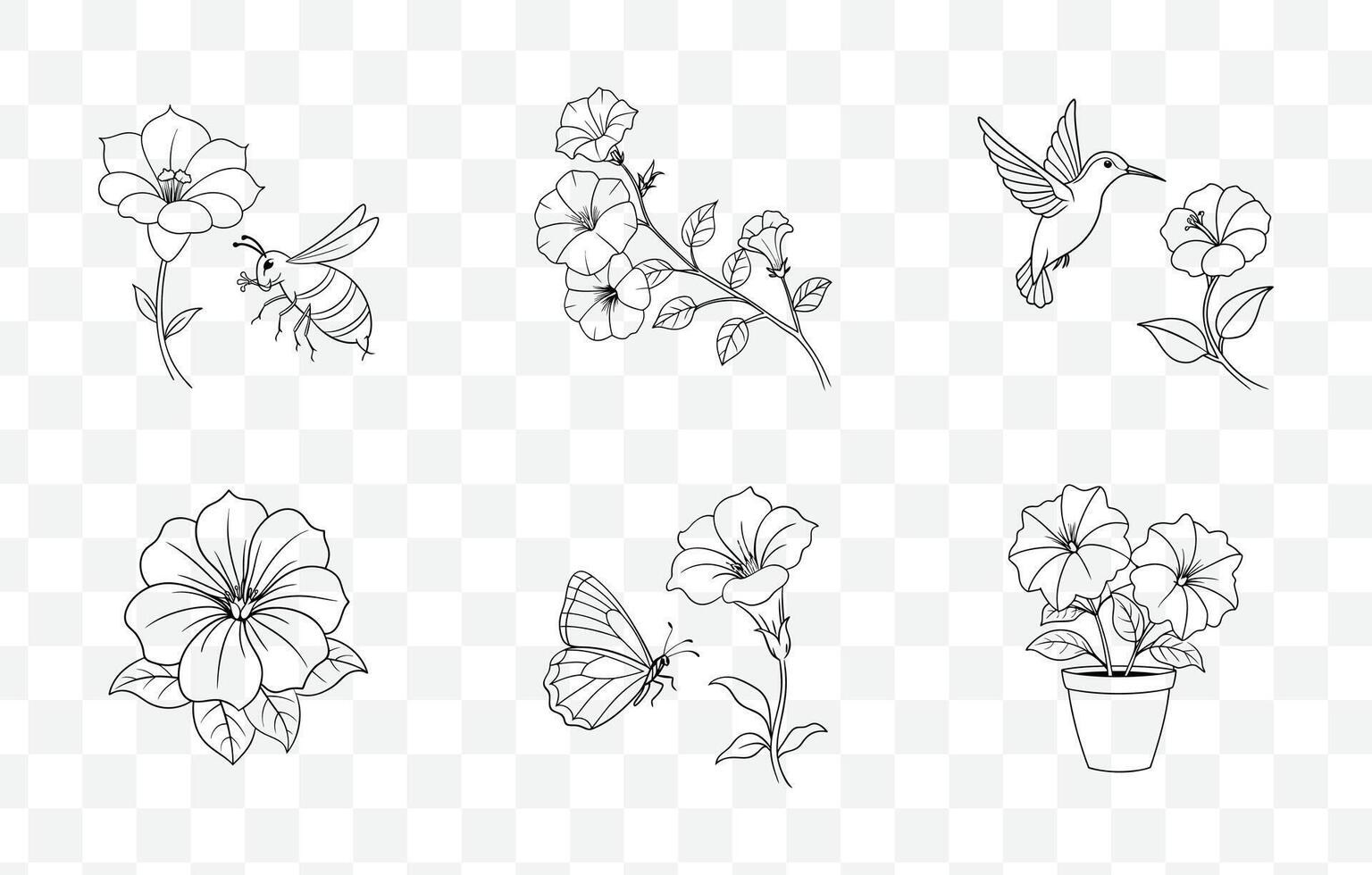 Print Petunia Flower Line Art Set Elegant Detailed Botanical Illustrations for Design and Decoration vector