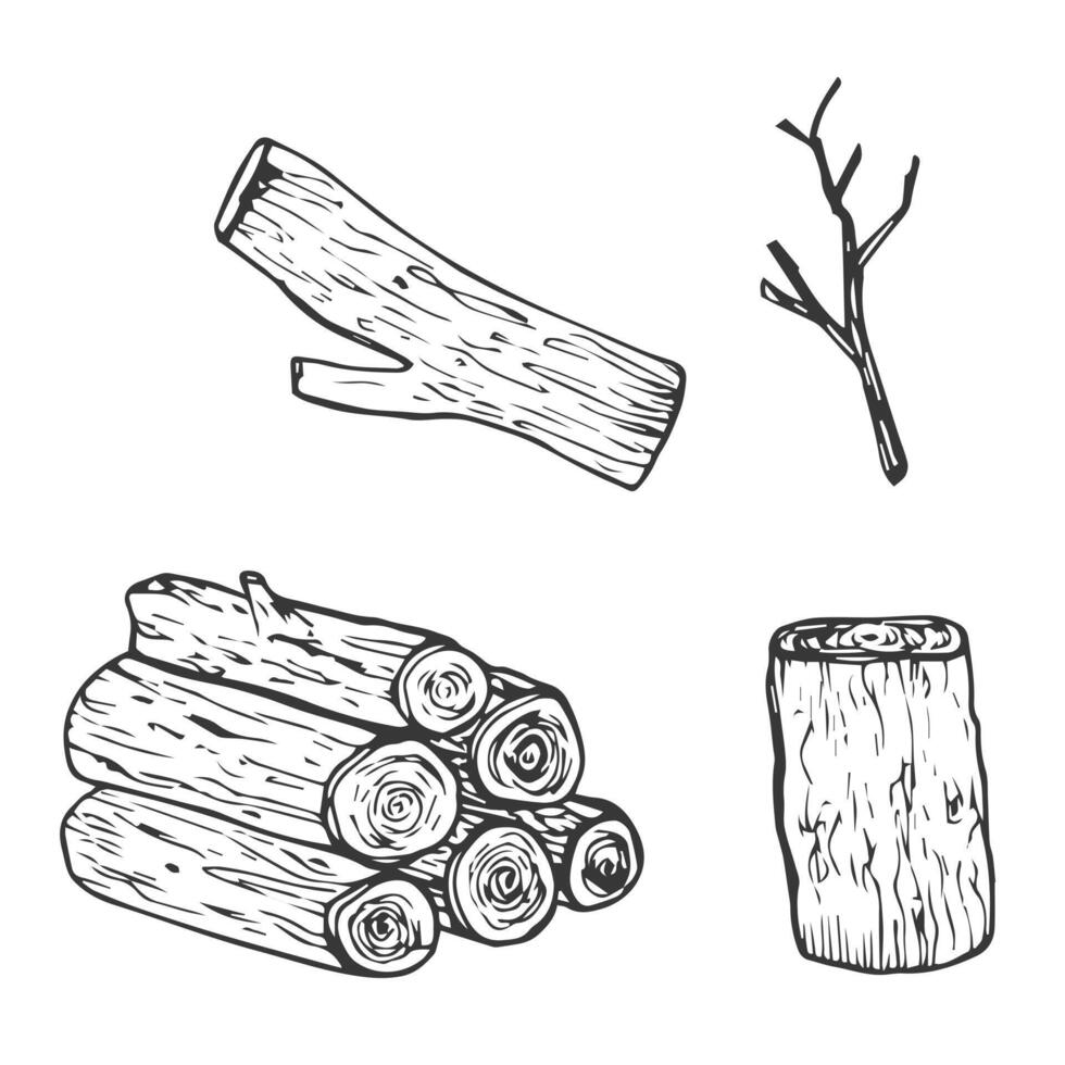 Wooden logs and twigs sketch on white background. illustration of timber and wood stump. Firewood hand drawing line sketch vector