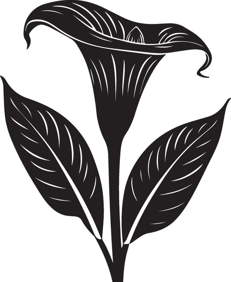 calla lily, black and white silhouettes of flowers, silhouette of a tree, black and white silhouettes of plants vector
