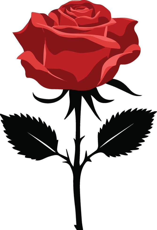 red rose isolated on white, red rose , red rose , colorful rose, rose illustration vector