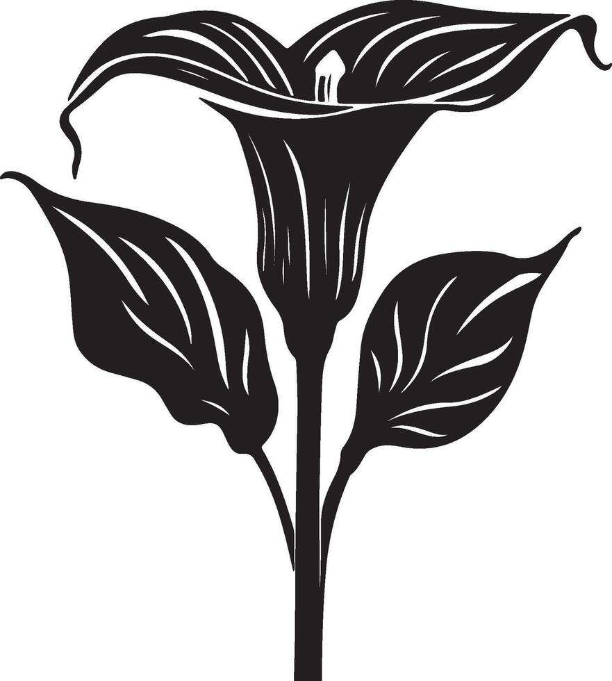 calla lily, black and white silhouettes of flowers, silhouette of a tree, black and white silhouettes of plants vector