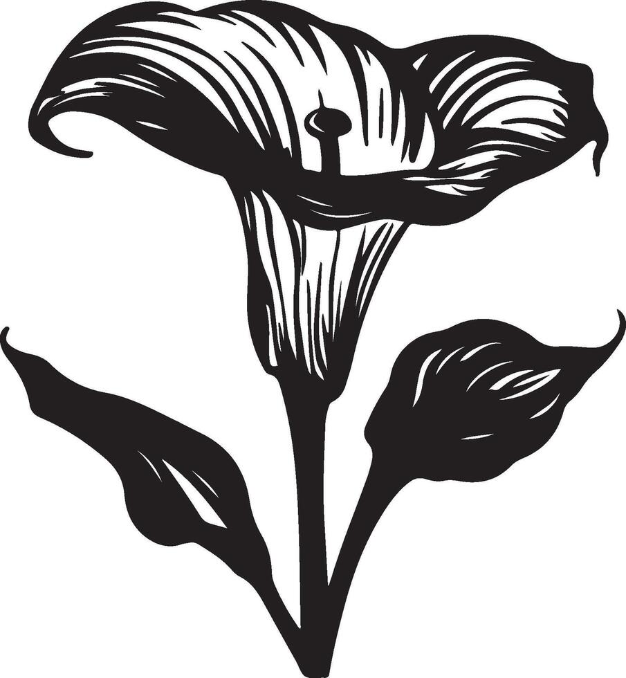 calla lily, black and white silhouettes of flowers, silhouette of a tree, black and white silhouettes of plants vector