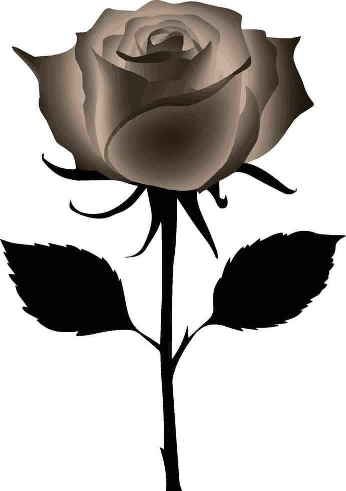 silhouette of rose, black and white rose, rose flowers vector