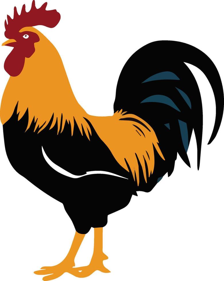 rooster illustration on white background vector