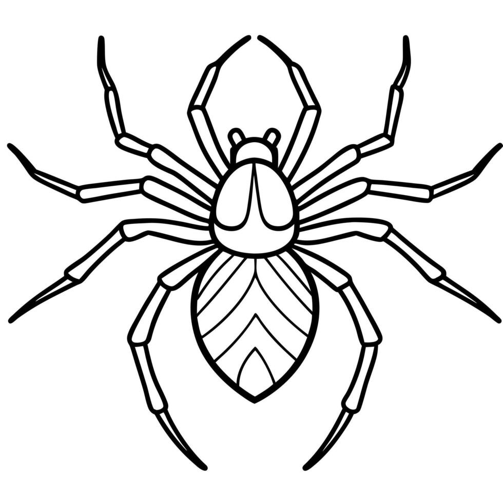 Common House Spider walks icon vector