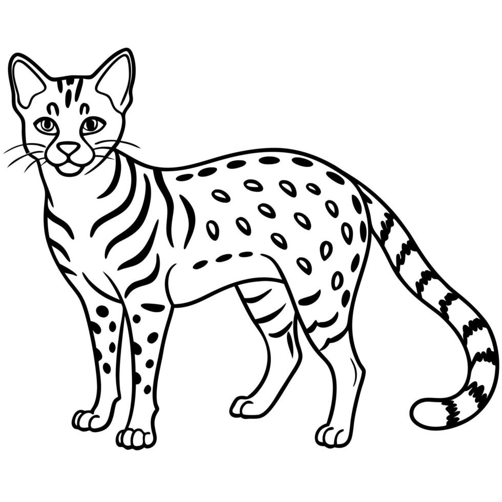 Common Genet lynx stands icon vector