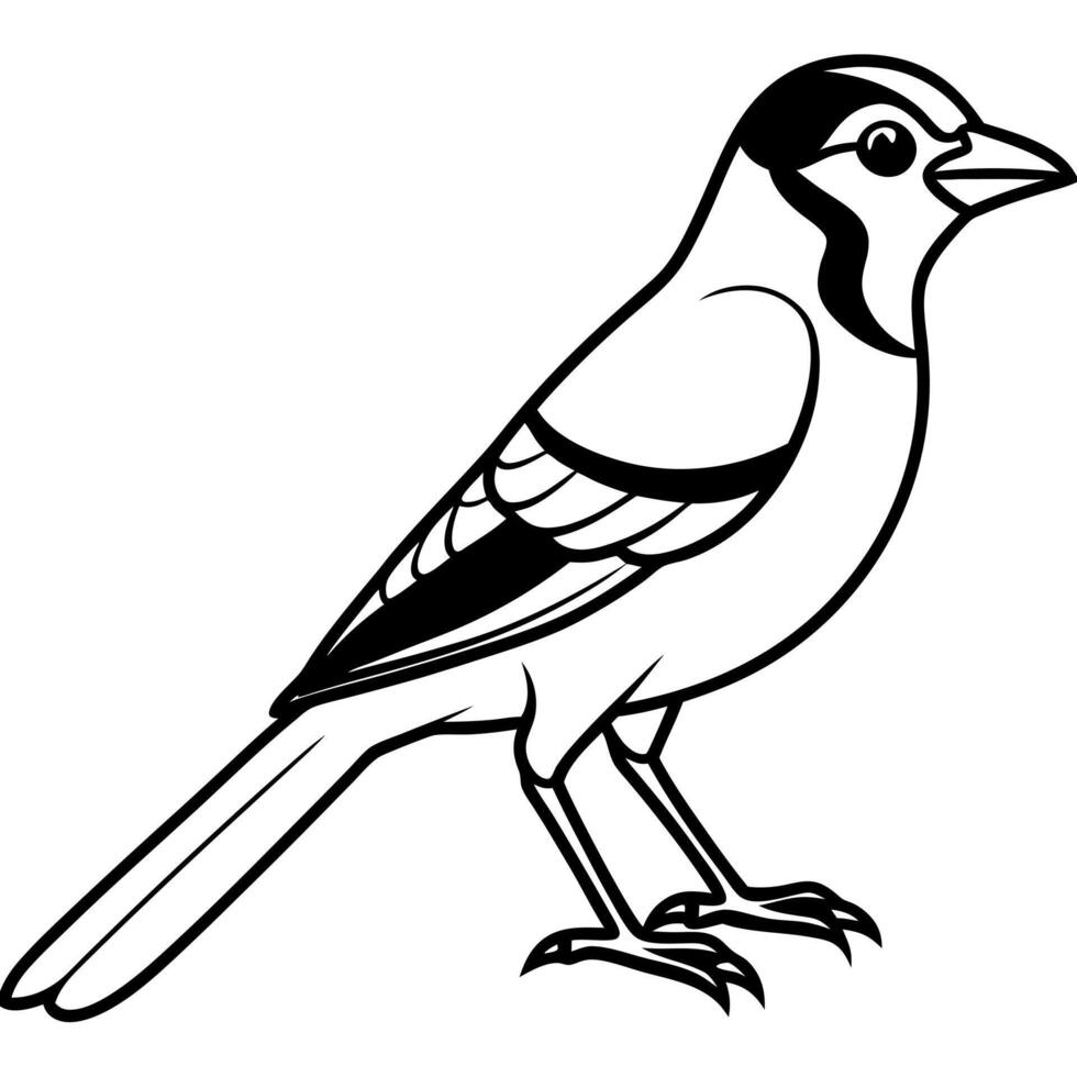 Crab Plover bird reading icon vector