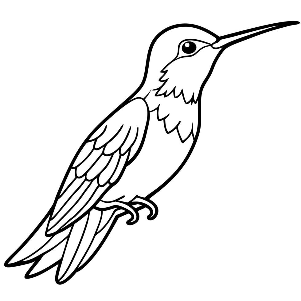 Costas Hummingbird bird lies icon vector