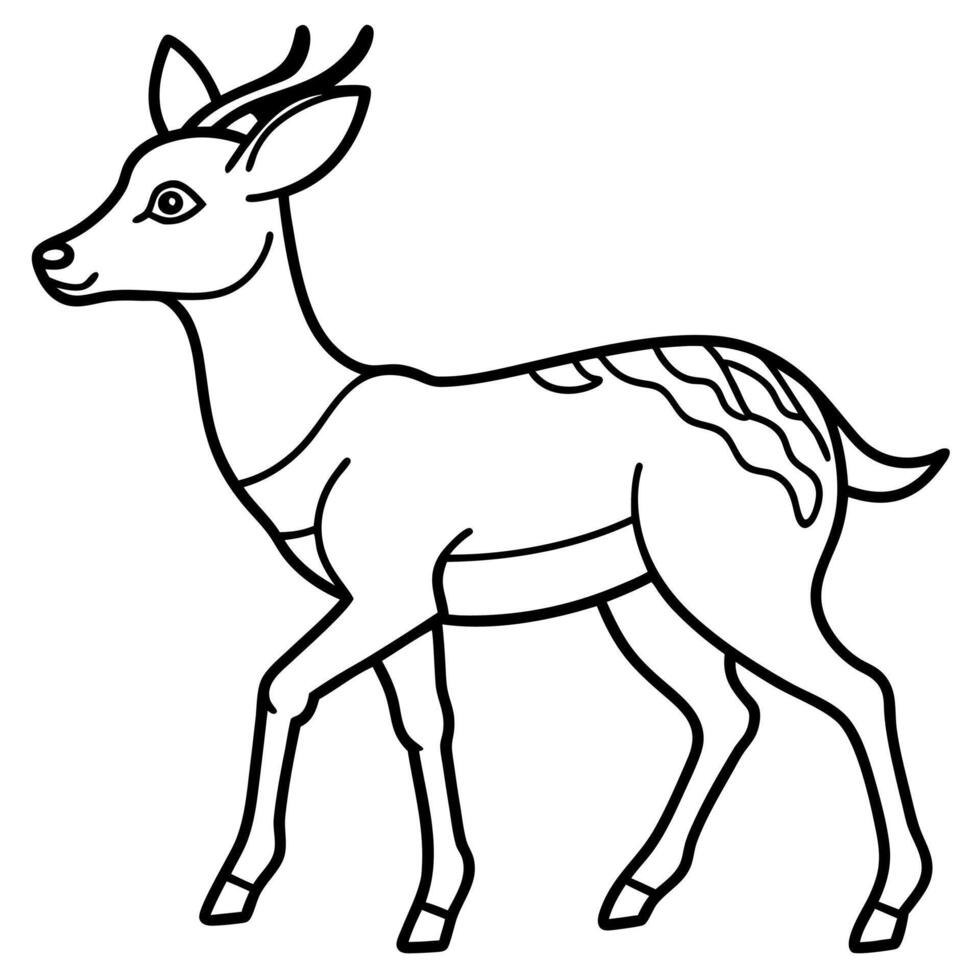 Coues Deer walks icon vector