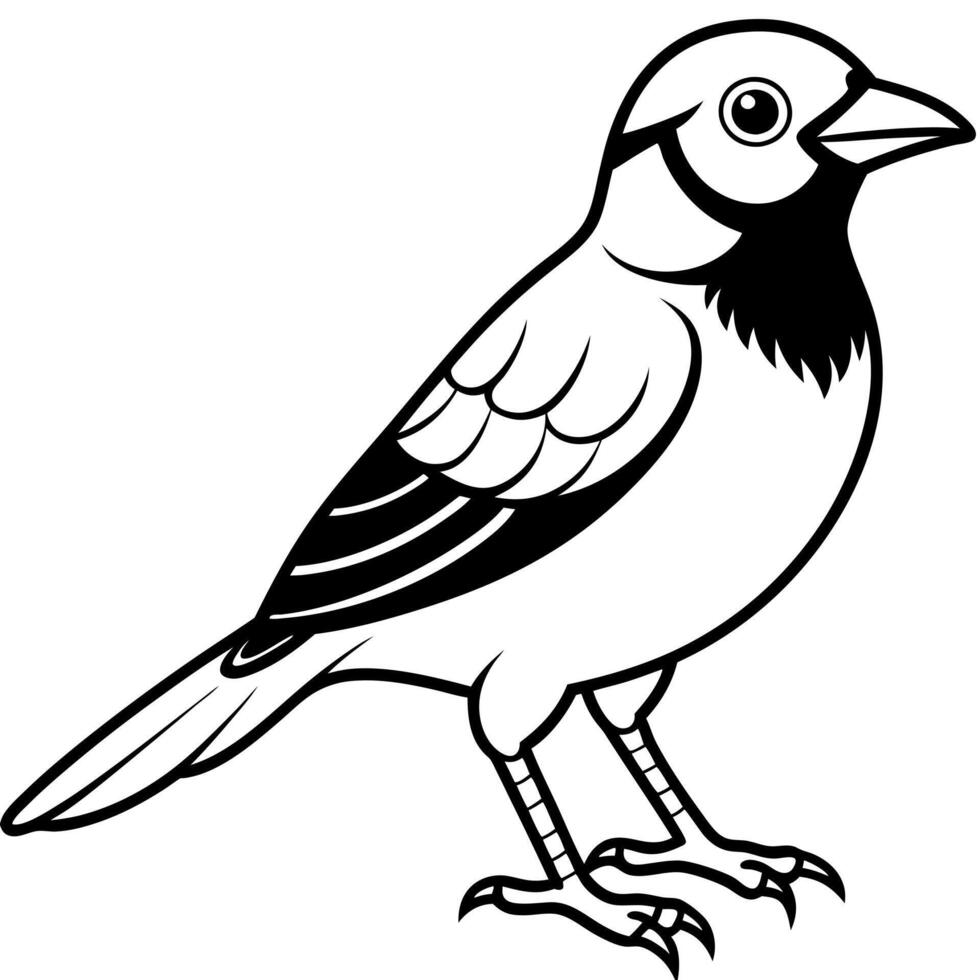 Cotinga bird swims icon vector