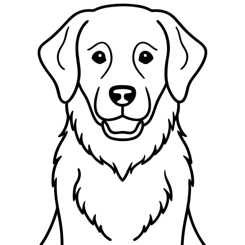 Comfort Retriever dog stands icon vector