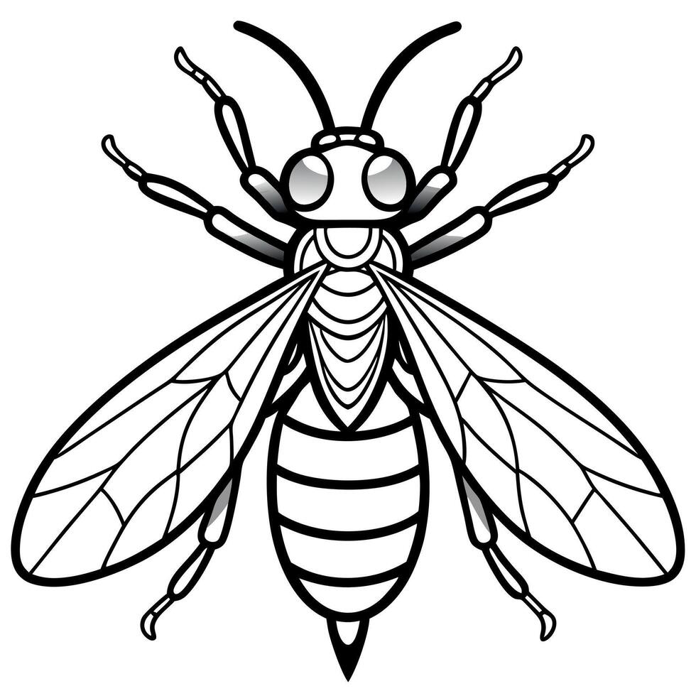 Comet Moth looks icon vector