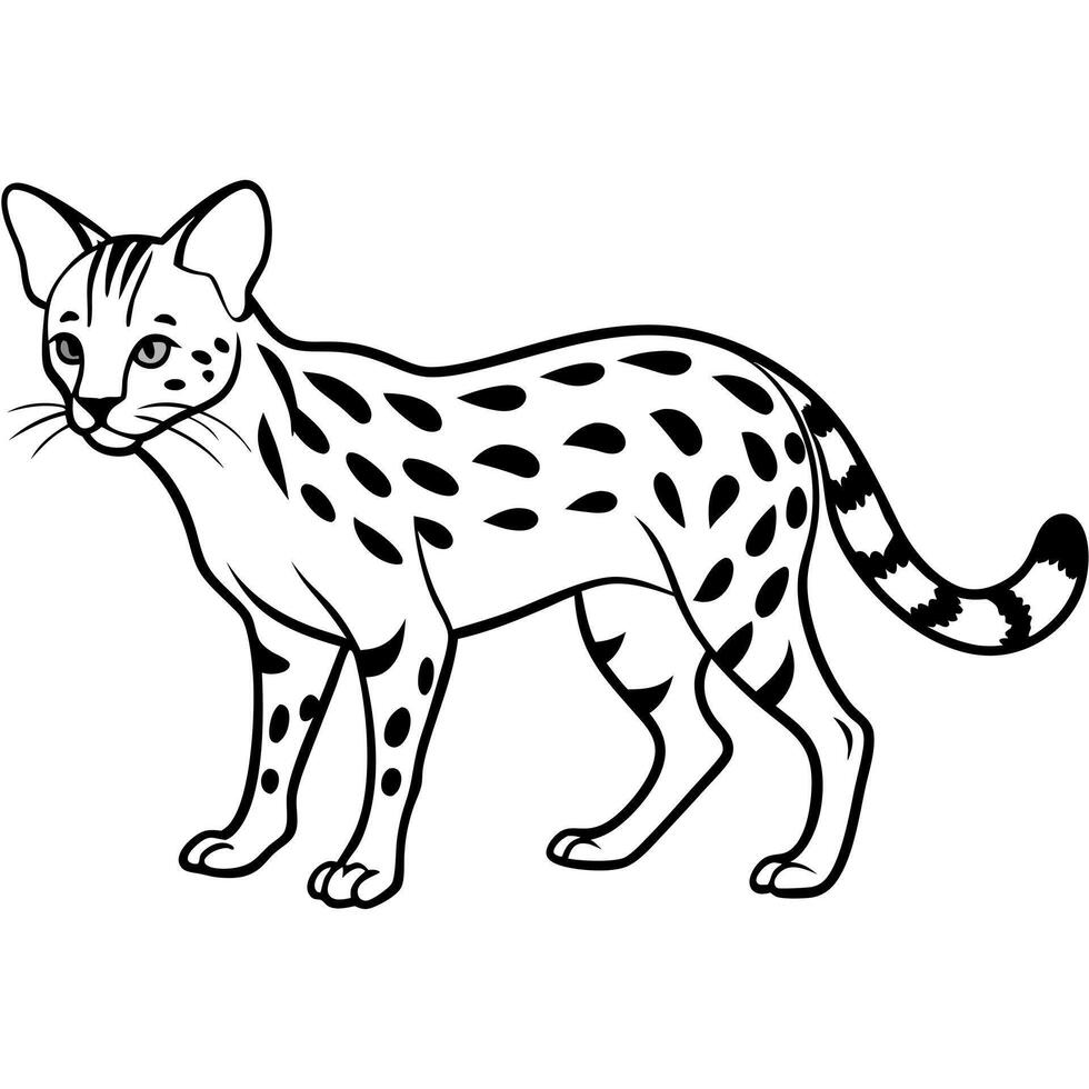 Common Genet lynx walks icon vector