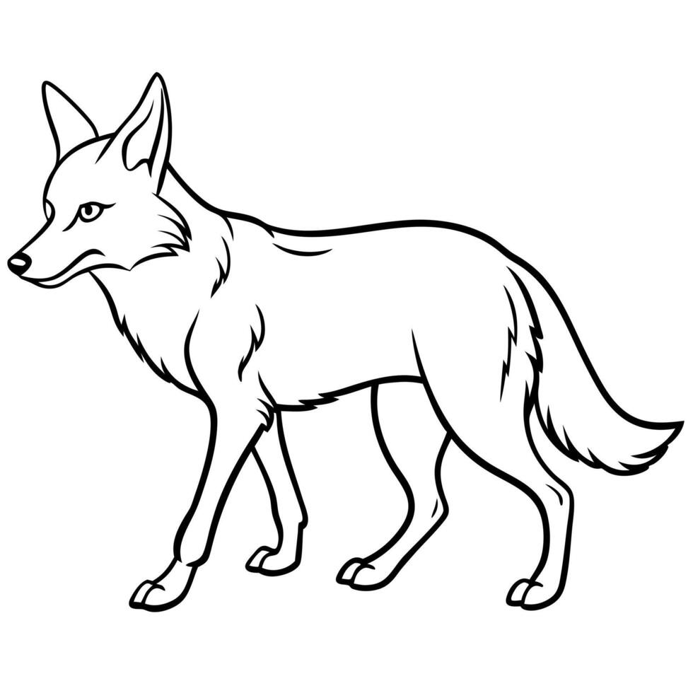 Coyote walks icon vector