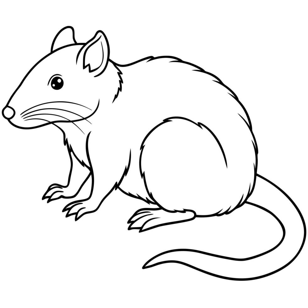 Cuban Solenodon rodent sits icon vector