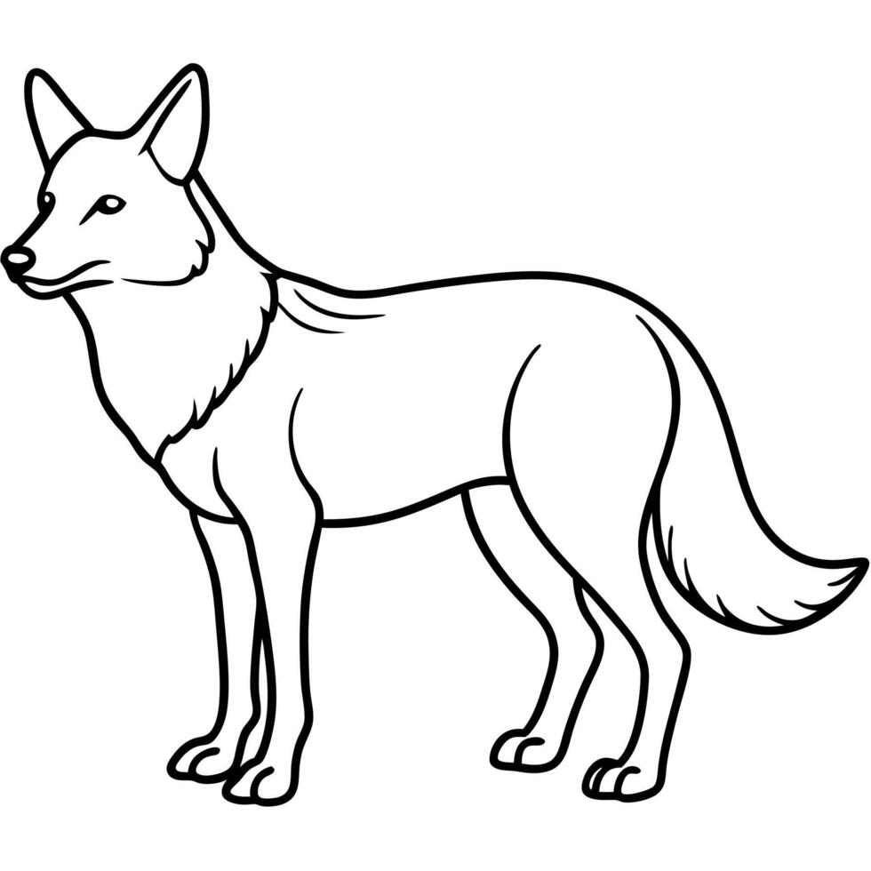 Coyote stands icon vector