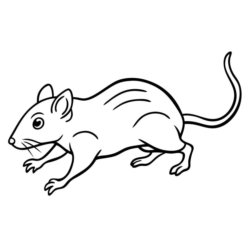 Cotton Rat mouse runs icon vector
