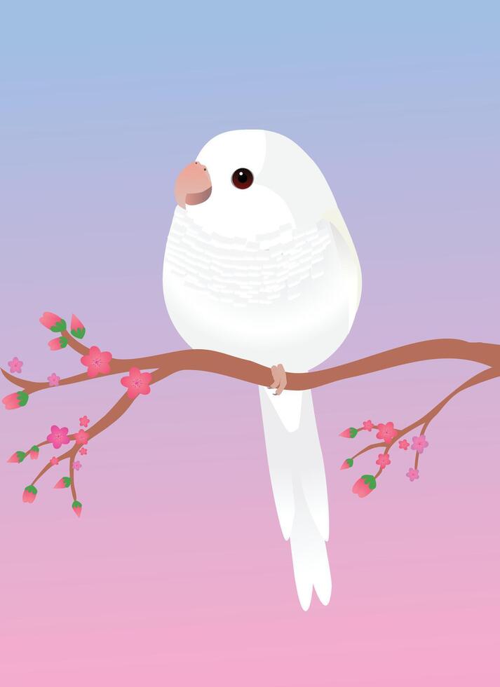 A very cute albino quaker parrot or monk parakeet in the shape of an egg. Soft pink gradient background. The bird is perched on a branch with pink blossoms. vector