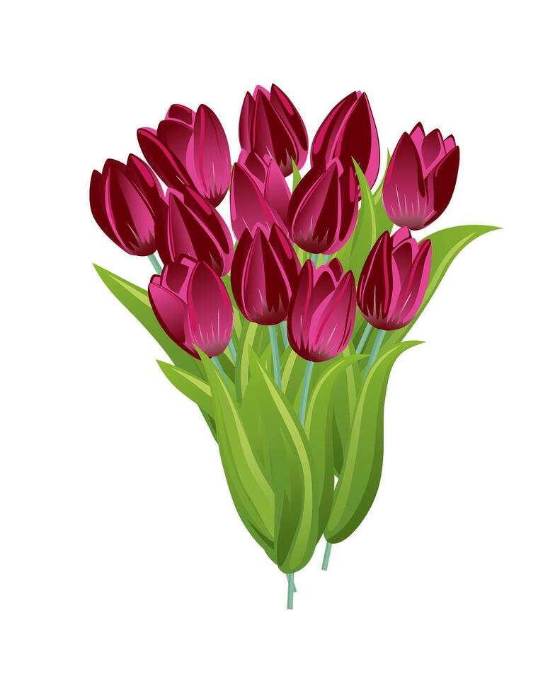 Summer spring flower tulips bouquet isolated on white background. A cute gift with flowers for a holiday, wedding, or a loved one. Design element for greeting card, invitation, poster, print. vector