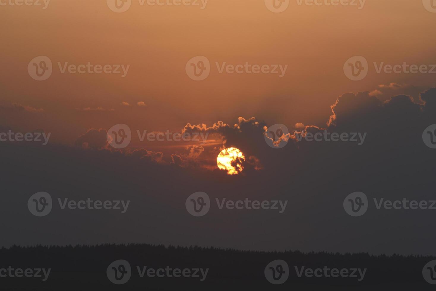 The solar disk. The setting sun in a cloud over the forest. photo