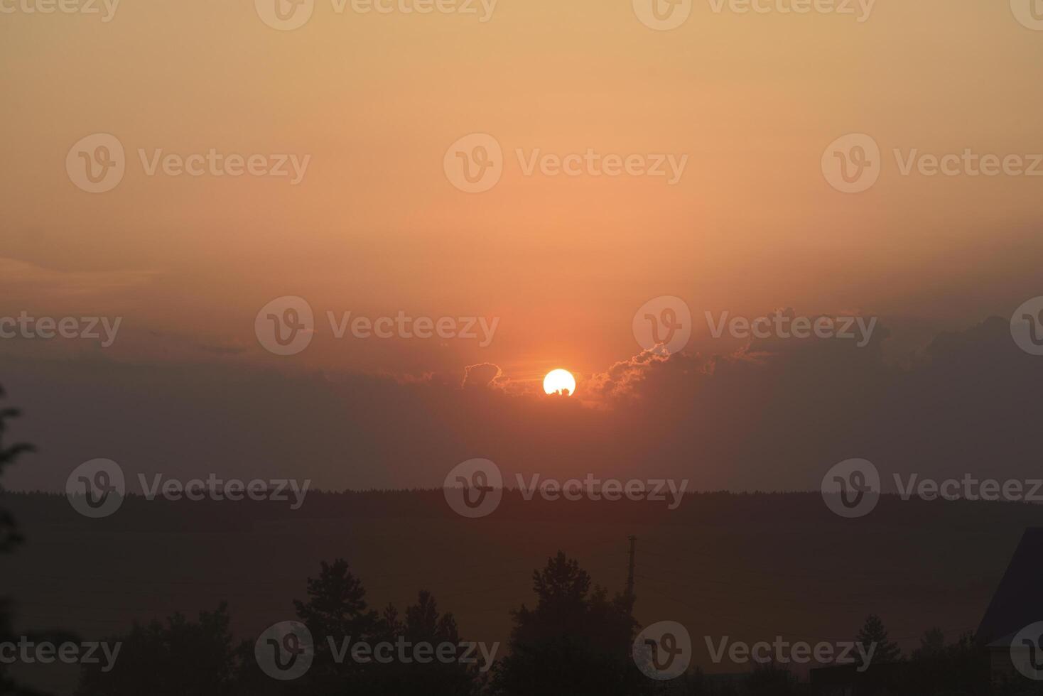 The solar disk. The setting sun in a cloud over the forest. photo